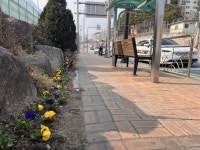 영주시 가흥1동, 택시기사와 동직원 새봄 맞아 택시승강장 새단장
