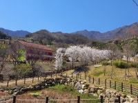 “어르신들, 치유의 숲에서 마음 힐링하세요”