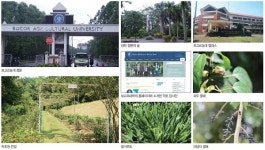 인도네시아 보고르농대 약초원