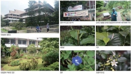 인도네시아 반둥공대 약초원