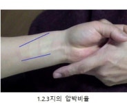 [이강재의 8체질] 체질맥진(體質脈診)