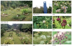 서울대 약초원의 약용식물