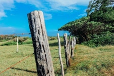 약용작물 한약재 재배 농가 수 및 생산량 등 하향곡선