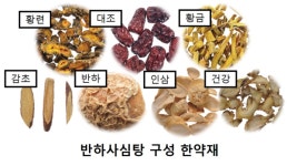 한의학연, 반하사심탕-육미지황탕-보중익기탕 등 임상시험 예정 