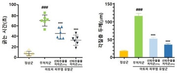 한의학연, 동의보감 속 선퇴추출물의 아토피 개선 효과 입증