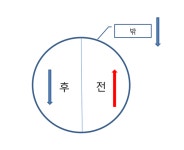 경락은 어떻게 생겼을까?-두 번째 이야기-