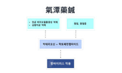 동서비교한의학회, 내성 없는 항균 항바이러스 치료제 기담약침 개발 