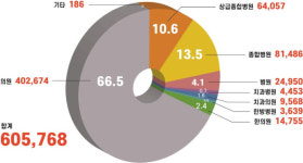 지난해 외국인환자 역대 최대치 60.6만 명…한의원 환자 증가율 약 6.9배