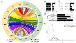 농진청, 유전체 해독으로 감초 품종 진화 실체 밝혀