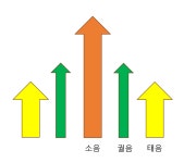 경락의 배치에 관한 소고 -두 번째 이야기