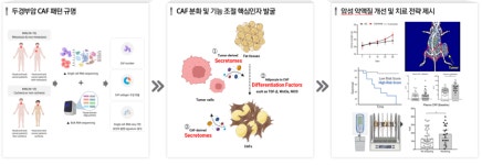 경희한의대 엄재영 교수, 암 관련 지방유래 CAF 조절 연구 BRL 선정
