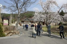 보성 태백산맥 문학관 누적 관람객 40만