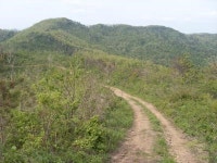 화순, 등산로 안전정비 나서