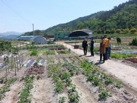화순군, 삼천리 힐링가족텃밭 ‘인기 짱’