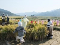 노정 : 하동군 횡천면 대덕→구례읍(48km)