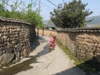 노정 : 순천→고내(42km)