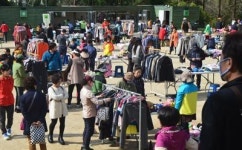 재활용 장터 보물섬 인기