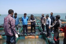 완도군, 건강식품 명품전복 만들기 시동