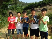 완도 금일초등학교 텃밭수업 호응