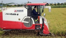 고흥 죽암농장서 벼 2기작 첫 수확
