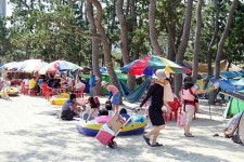 보성 율포솔밭해수욕장서 힐링하세요