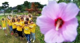 서재필기념공원에 활짝 핀 무궁화꽃