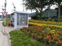 강진 대구면 상저마을  버스정류장 주변 단장