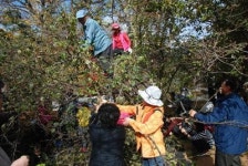 구례 산수유농업 탐방 산동-팜투어 실시