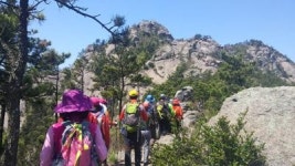 신안 임자도 불갑산서 섬 등반대회