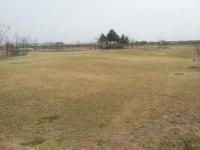 함평군 파크골프장 관리 실태 ‘부실’