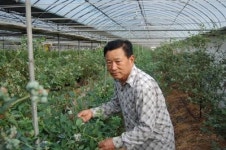 최고품질 곡성 블루베리 본격 출하