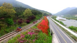 상춘객 유혹하는 곡성 섬진강 레일바이크