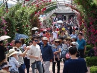하늘에서 본 곡성 1004 장미공원