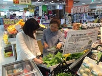 해남군, 친환경 새싹인삼 실증재배 성공