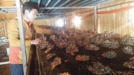 땅끝서 첫걸음 뗀 자원순환농업 연착륙 ‘관심’