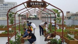 충장동주민센터, 옥상 텃밭 화제