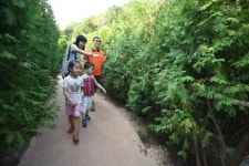 해남에서 신기한 미로체험 즐기세요