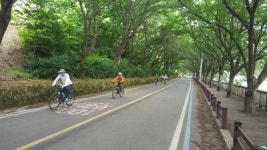 구례 섬진강 자전거길 동해마을∼월평교 6.8㎞ 구간