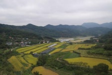 조영석의 지리산둘레길을 가다 (13)삼화실- 대축