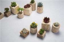 잉여자원 활용으로 도시를 재생하다