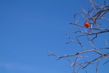 조영석의 지리산둘레길을 가다(18)오미- 방광- 난동마을