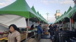 재기 나선 여수수산시장 