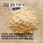 강진 대표 농산물 강진귀리 명품화 추진