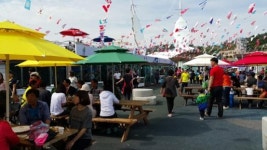 반갑다 강진 마량놀토수산시장 8일 개장