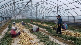 동곡파출소, 어르신 상대 교통법규 준수 당부