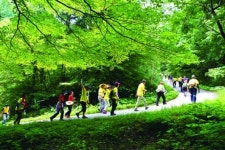 올 여름여행은 전남으로, 욜로(yolo) 오시오