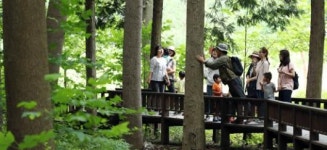 비밀의 정원 초당림에서 숲속 힐링