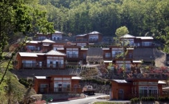 보성 제암산자연휴양림 효자관광지 급부상