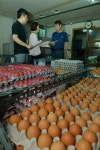 살충제 계란 유통 재개…불안감 여전