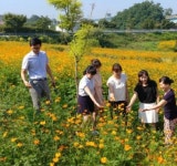 장성군 동화면 주민들꽃으로 소통한다